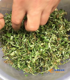 初春蘄艾綠滿園，水鄉巧手做青團