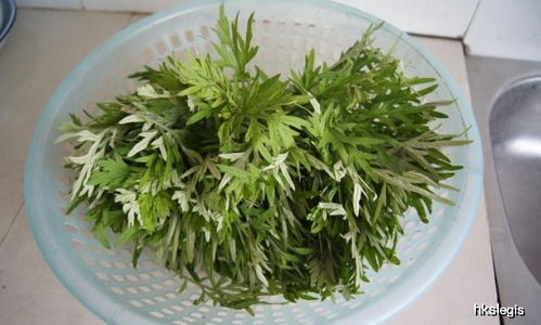 艾草不止掛門口，扦插做“天然蚊香” 蘄艾種植，打造清爽無蚊夏日