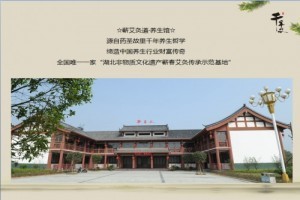 蘄艾市場探析 種植前景與商家報價趨勢